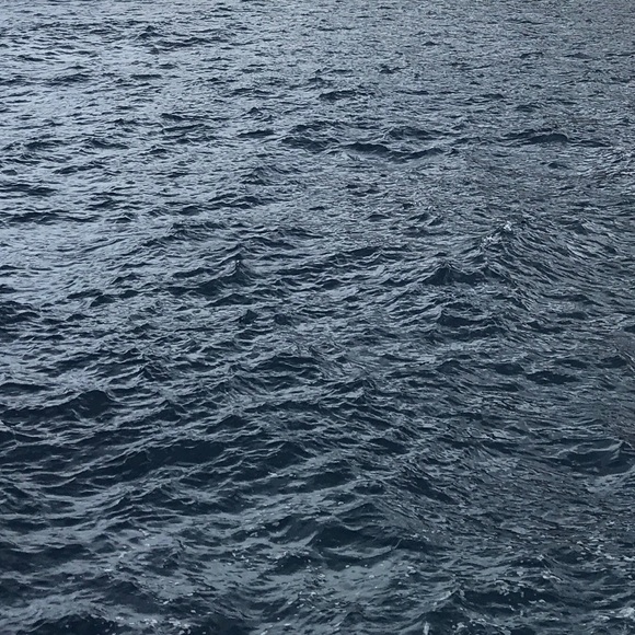 Meet your Posher, Olivia - Picture 1 of 1